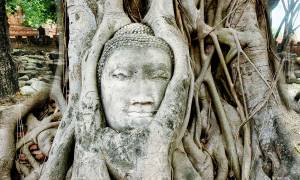 Ayutthaya - Wat Mahatad