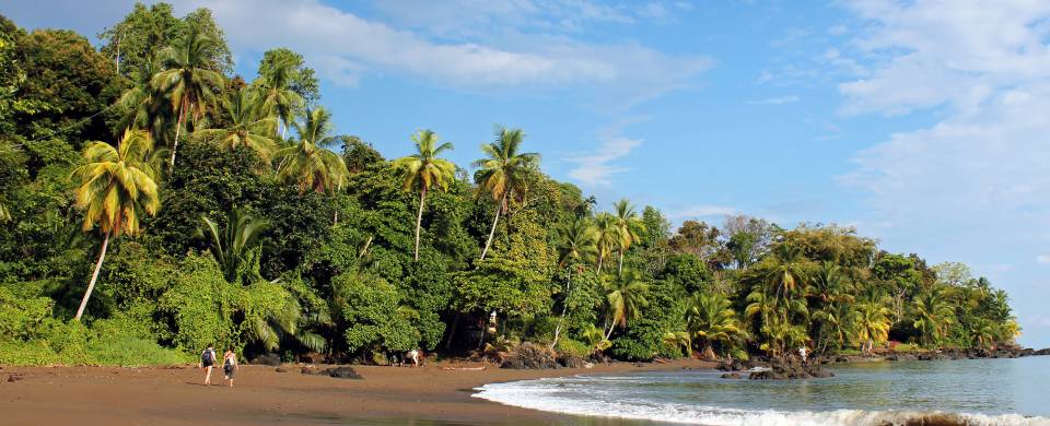 Refreshing water laps the jungle-fringed shore in Bahia Drake