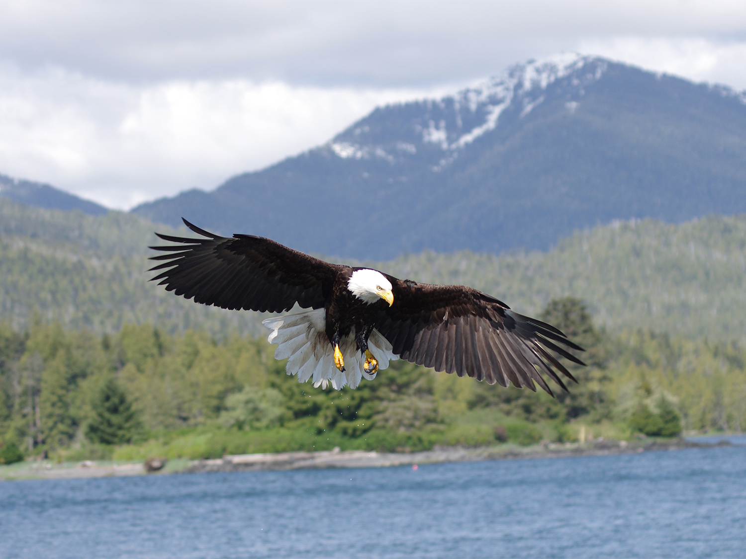 Wild British Columbia & Alberta - 12 days