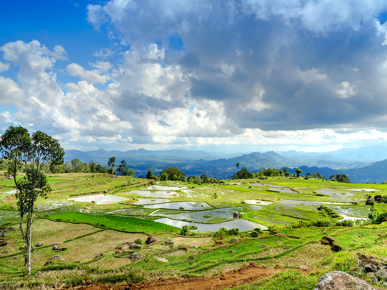 Day 5 - Soft Trekking and Traditional Villages
