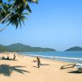 Beautiful sandy beach in Goa, fringed with palm trees