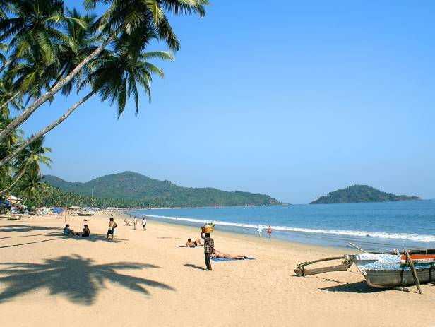 Beautiful sandy beach in Goa, fringed with palm trees