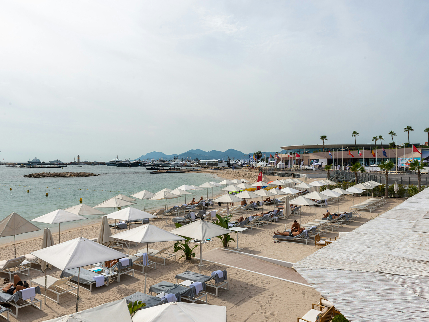 Day 5 - Cannes