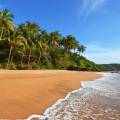 Beautiful sandy beach in Goa, fringed with palm trees