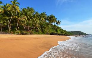 Beach scene in Goa - India Tours - On The Go Tours