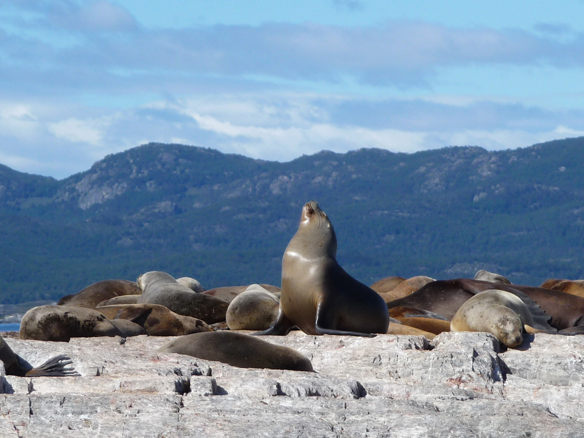 Day 10 - Ushuaia