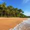 Beautiful landscape of palm trees and beach in Goa