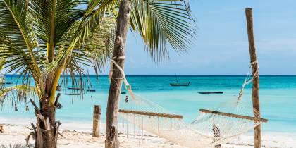 Beautiful view of palm and hammock on Zanzibar beach