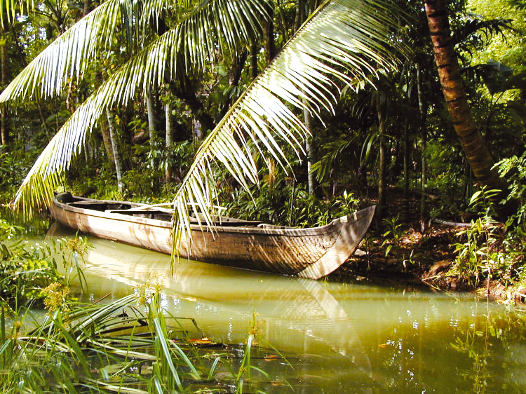 Days 9-10 - Kumarakom