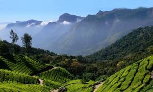 Beautiful-South-Itinerary-Main-South-India-Regional-Tours-India