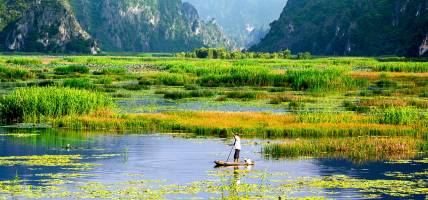 Beautiful-lush-green-delta-in-Southeast-Asia