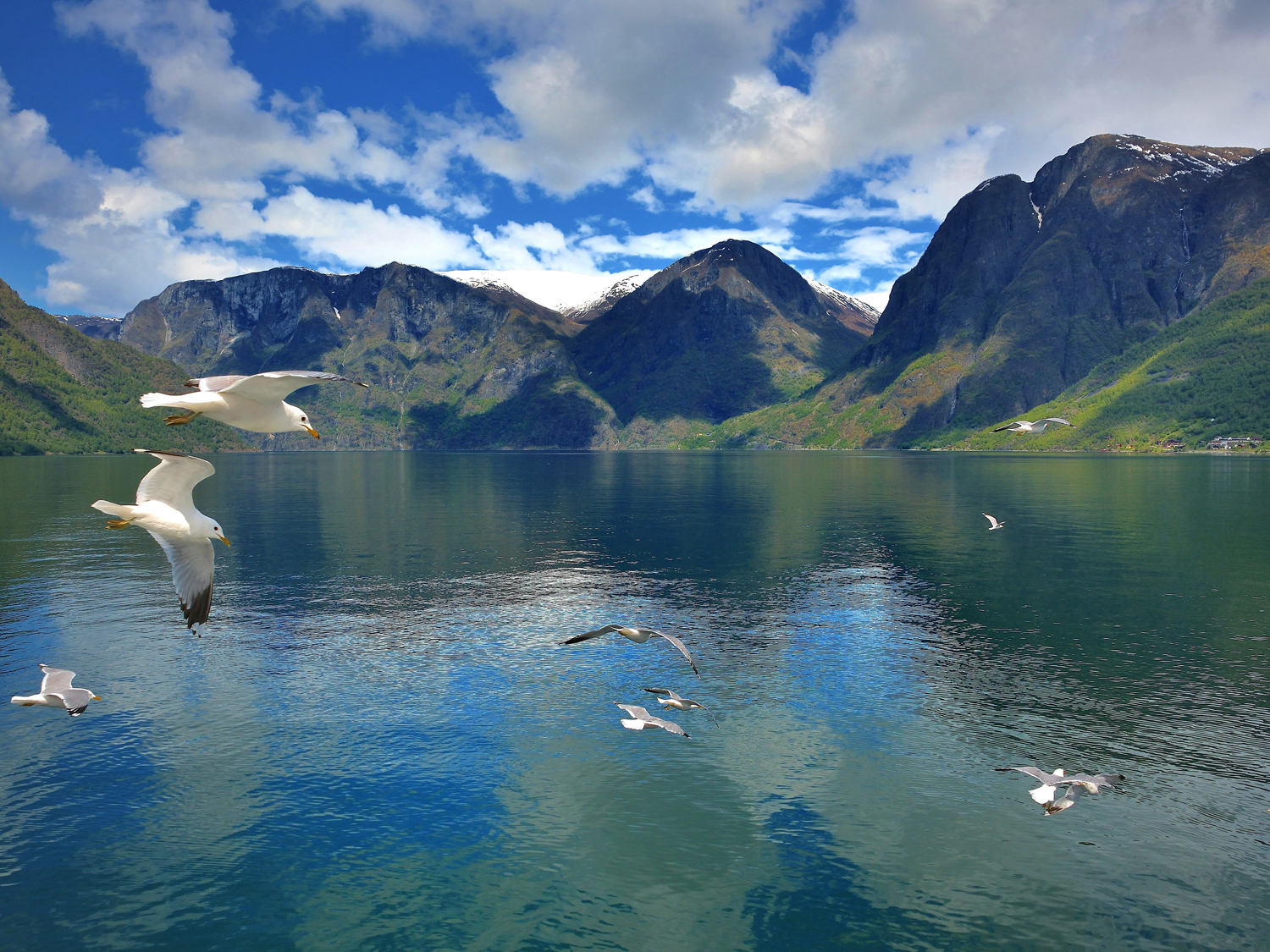 Day 5 - Balestrand