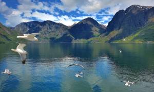 Bergen Fjords - Bergen Weekend Stay