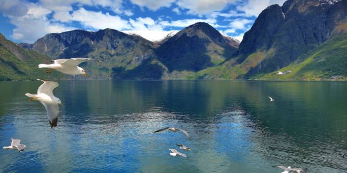 Fjords near to Bergen | Norway