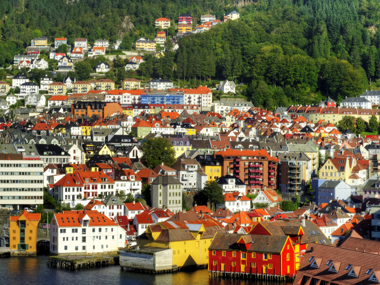 Day 4 - Bergen