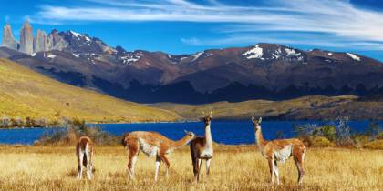 Best places to visit in Chile - Torres del Paine - On The Go Tours