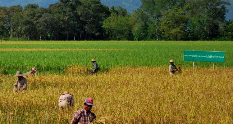 Best of Myanmar - 12 Days