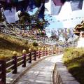 Crumbling ruins in the rugged wilderness of Wangdue