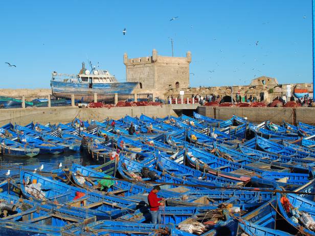 The walled city of Essaouira sitting on the edge of the water