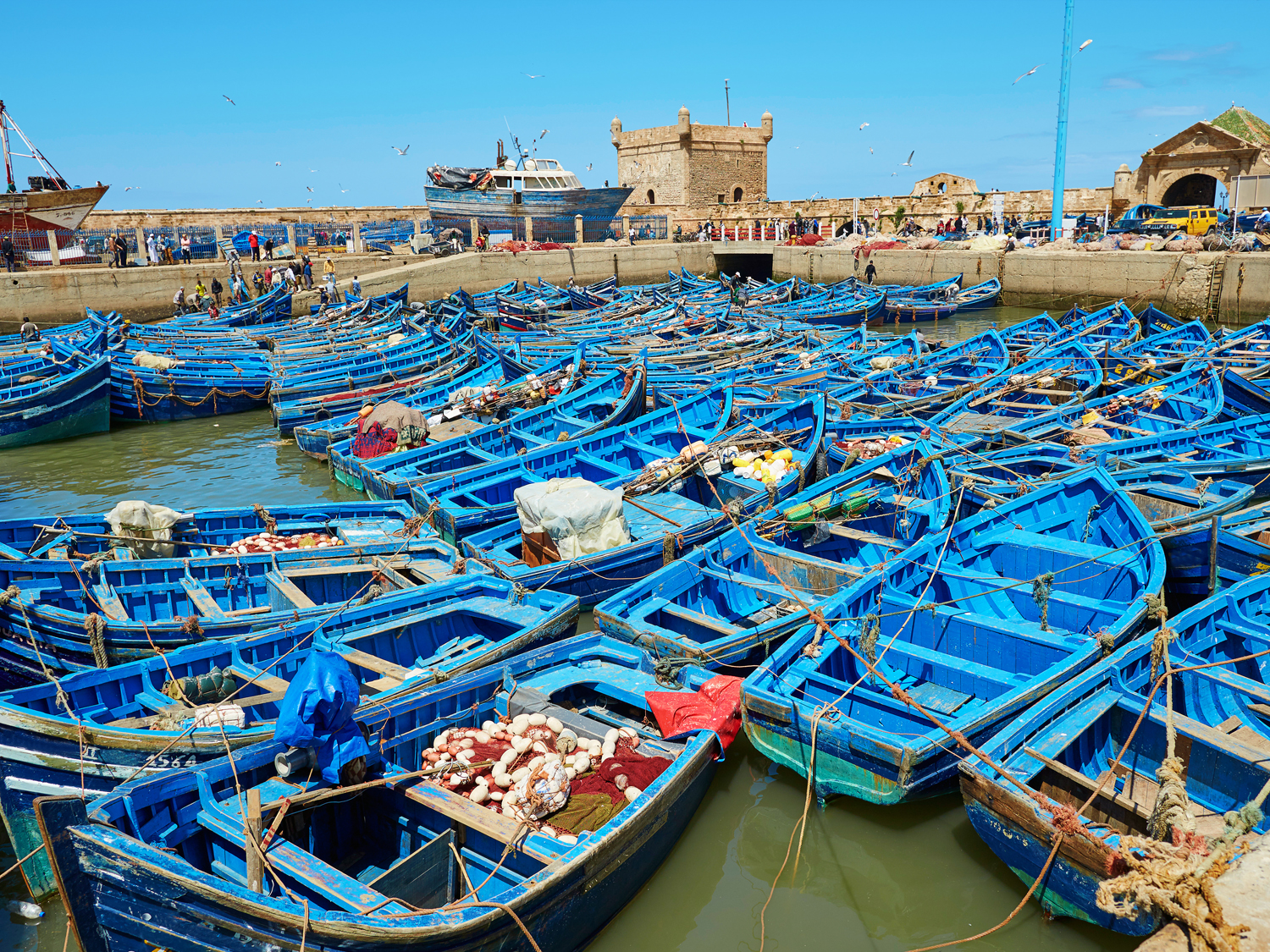Days 4-6 - Essaouira