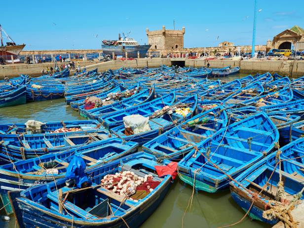 The walled city of Essaouira sitting on the edge of the water