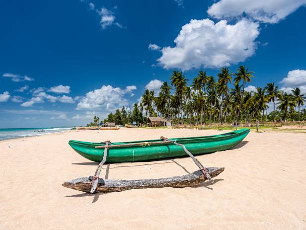 Pristine golden beach with palm dreams and clear water in Trincomalee