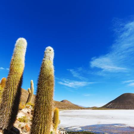 Bolivia-to-Brazil-Main