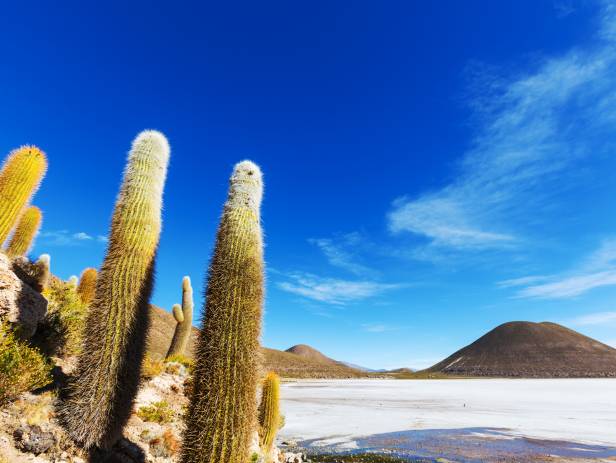 Uyuni salt flats - Itinerary 1