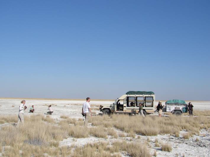 Botswana-Lodge-Explorer-Itinerary-2-Lodge-Safaris-Africa