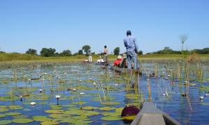 Botswana-Lodge-Explorer-Itinerary-Main-Lodge-Safaris-Africa