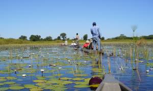 Botswana-Lodge-Explorer-Itinerary-Main-Lodge-Safaris-Africa