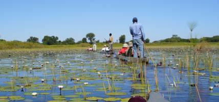 Botswana-Lodge-Explorer-Itinerary-Main-Lodge-Safaris-Africa