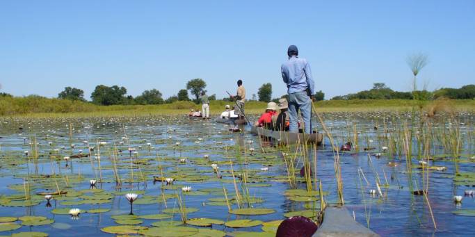 Okavango Delta | Botswana | Africa