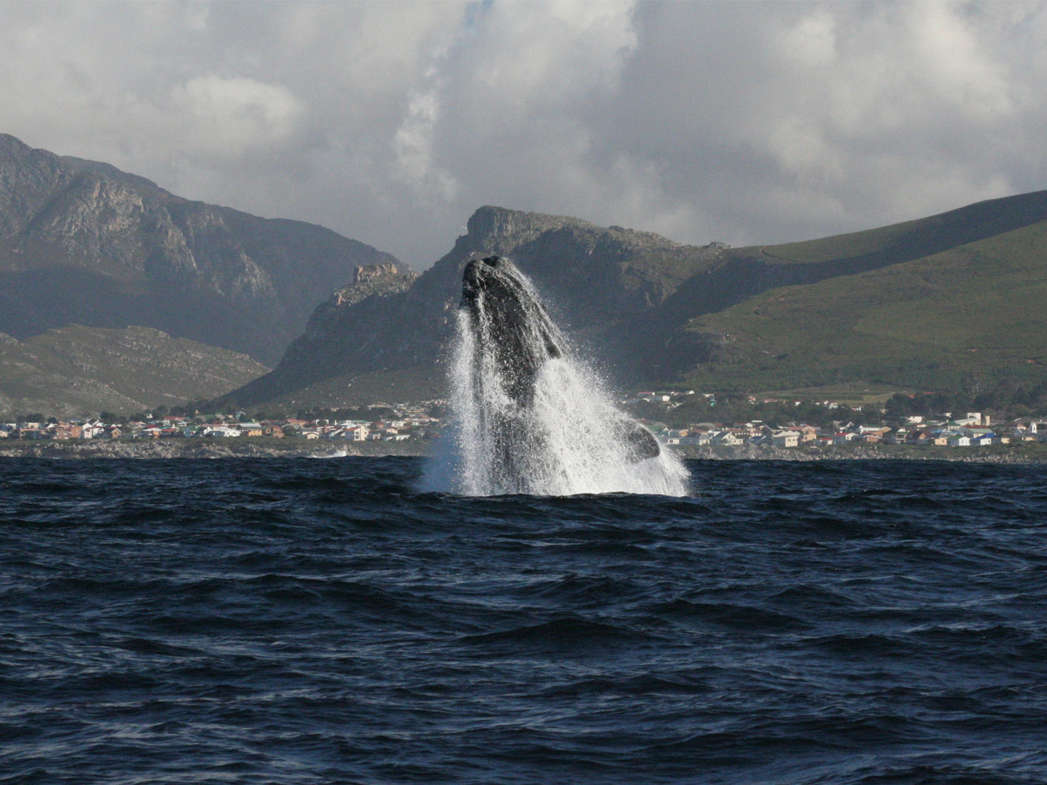 Day 6 - Hermanus