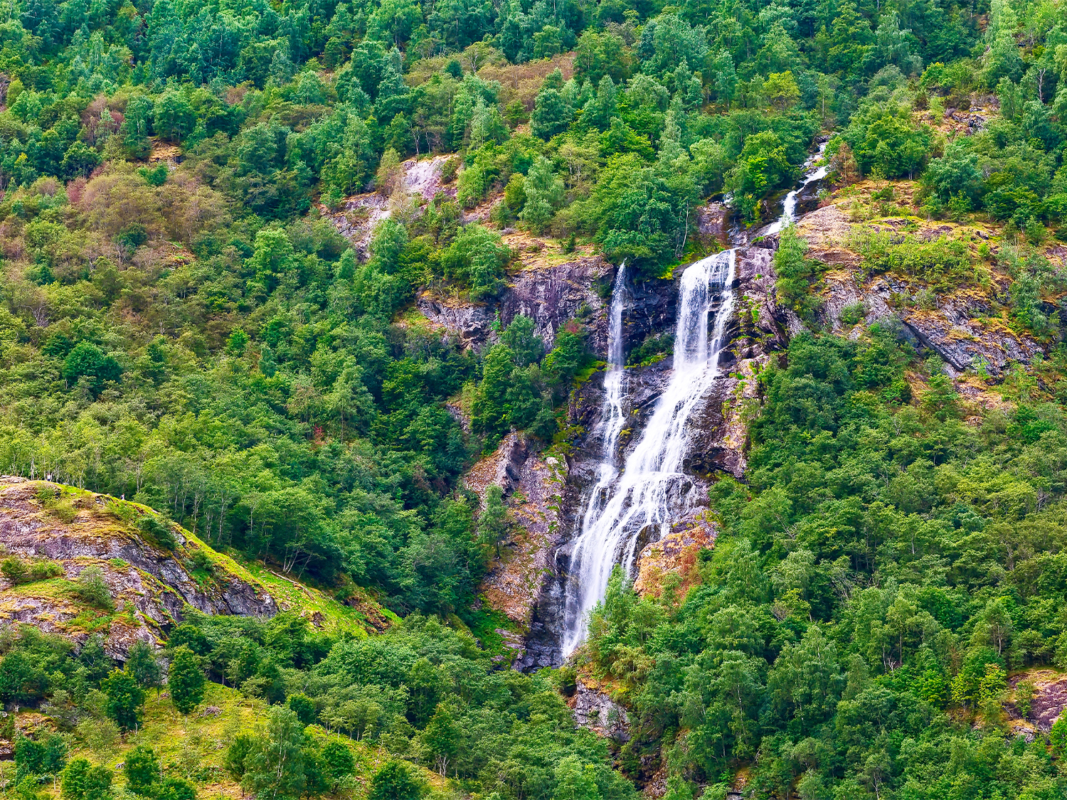 Day 4 - Flam