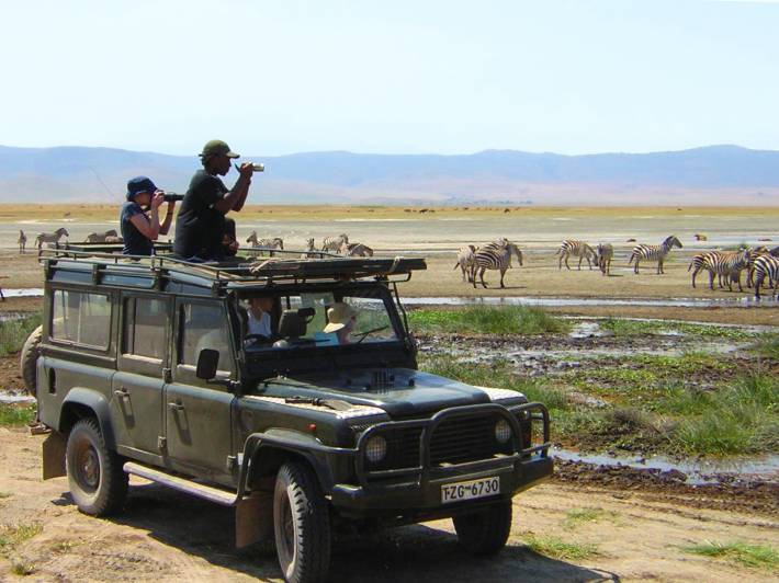 Bucket List - Animal Encounters - On Safari