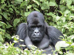 Bucket List - Animal Encounters Main Image