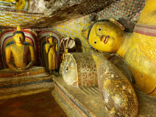 Iconic rock sitting among lush vegetation in Sigiriya