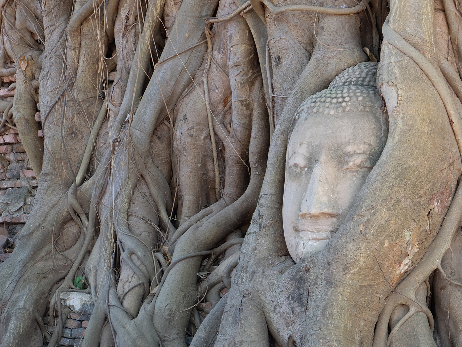 Day 2 - Ayutthaya