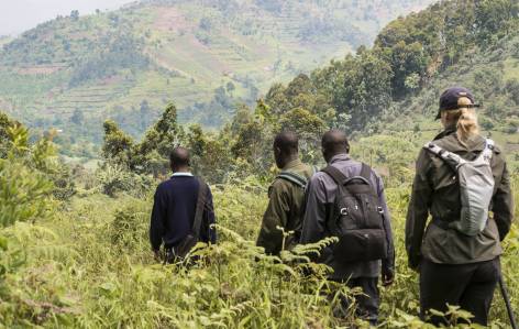 Bwindi Impenetrable National Park trekking