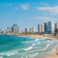 Palm tree in front of the towering skyline of Tel Aviv