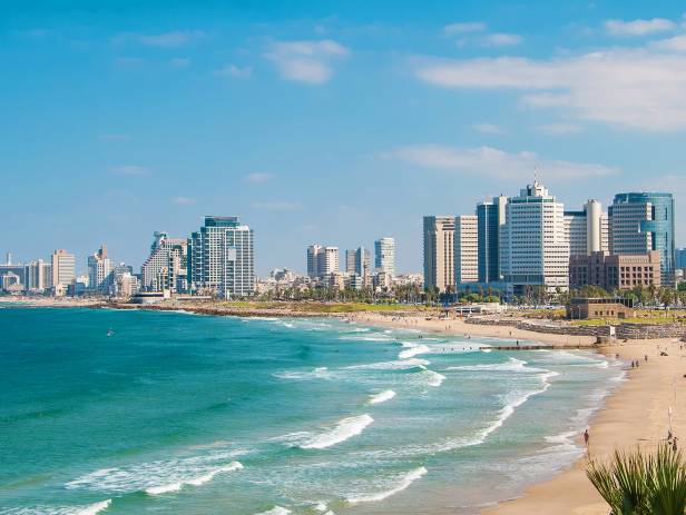 Palm tree in front of the towering skyline of Tel Aviv