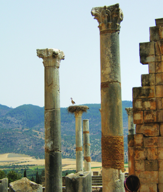 The ruins at Volubilis, columns with a bird nesting on the top of one