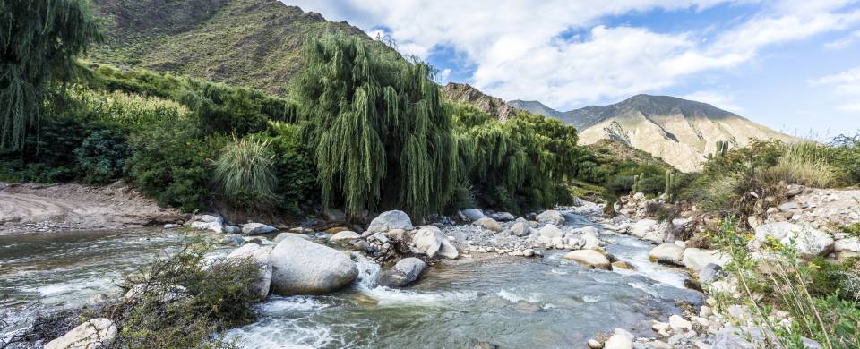 Rocky stream running through the forests of Cachi