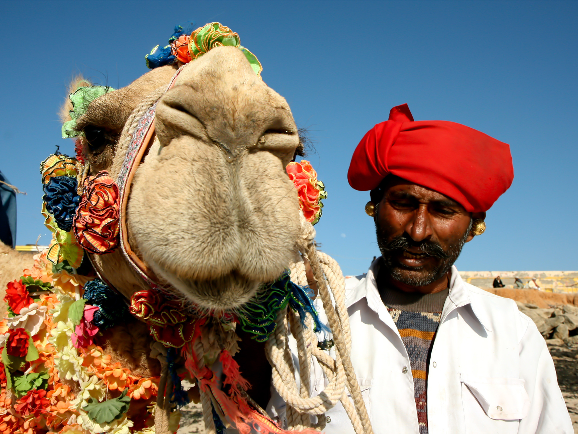 Day 11 - Bikaner