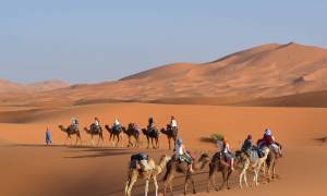 Camel Trekking in the Sahara - Morocco Tours - On The Go Tours