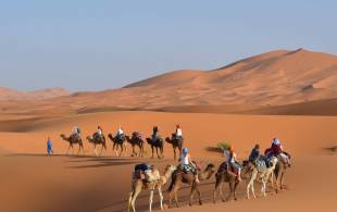 Camel Trekking in the Sahara - Morocco Tours - On The Go Tours
