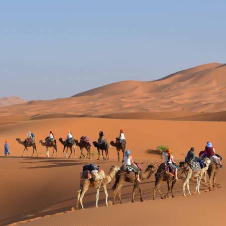 Camel Trekking in the Sahara - Morocco Tours - On The Go Tours