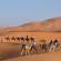 Desert Tours to Morocco in the wide expanse of the Sahara