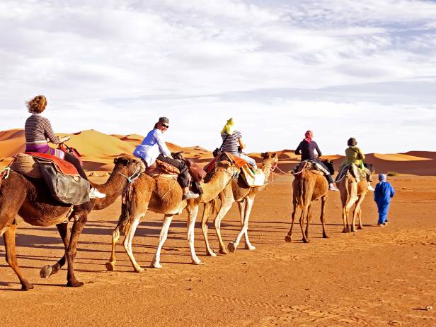 Shadows of camels on the sand in Merzouga